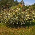 Sokolskie 度假居 *