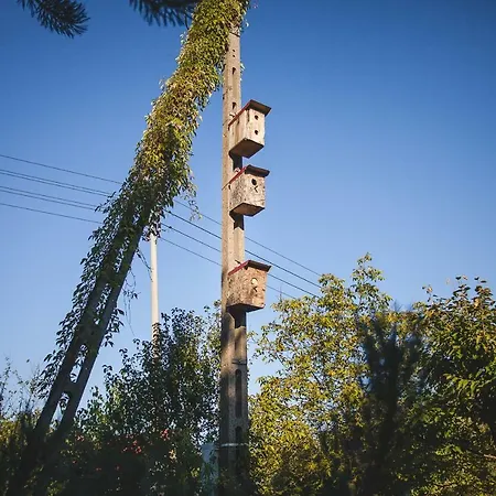 Holiday home Sokolskie *