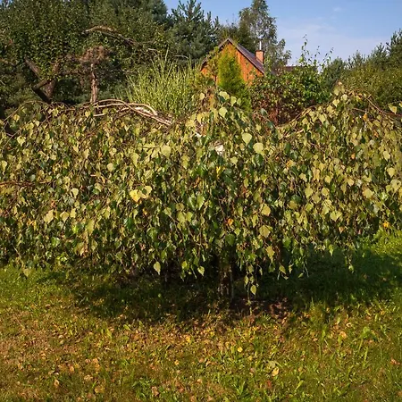 Sokolskie Holiday home *
