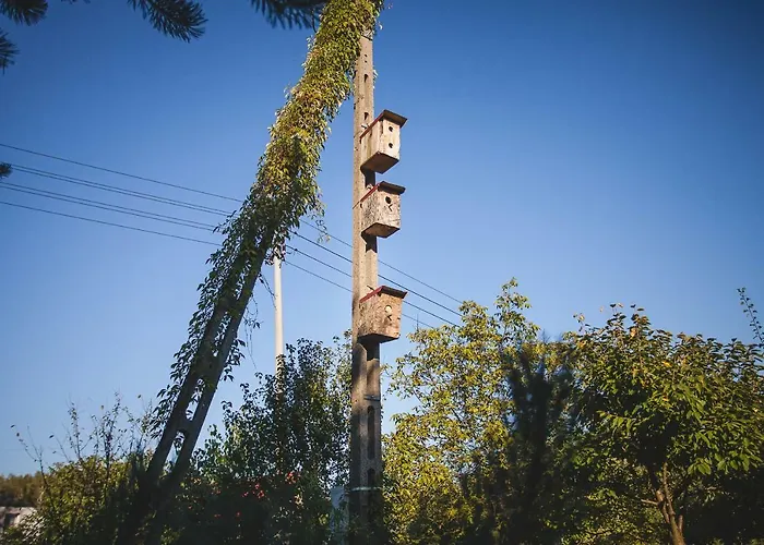 Ferienhaus Sokolskie *