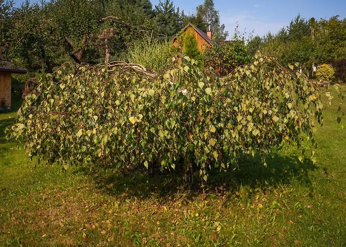 Sokolskie Prázdninový dům *